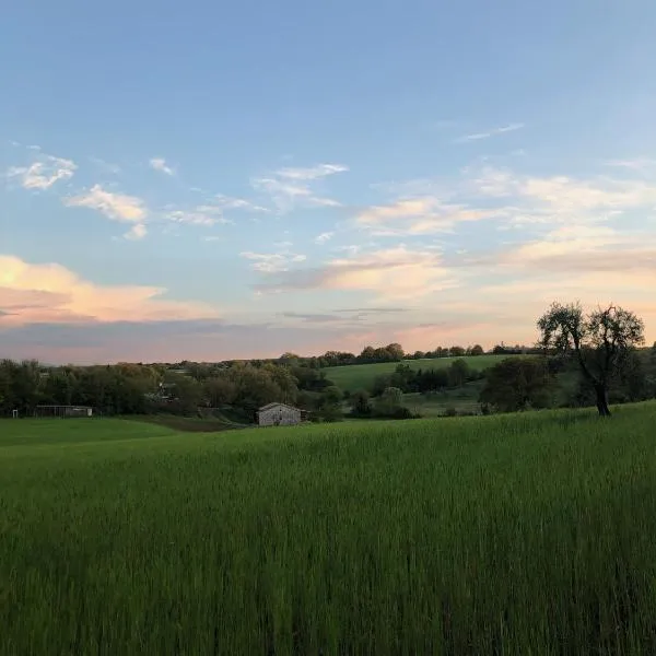 Casa Vespina Agriturismo Biologico，位于奥维多的酒店