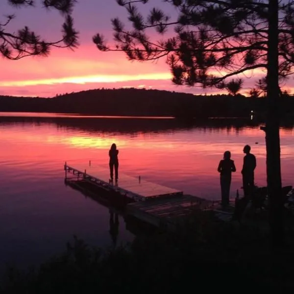 Peaceful lakeside cottage great for a staycation.，位于Dwight的酒店