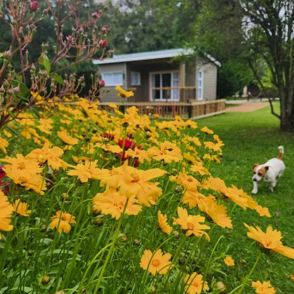 Tsitsikamma Garden Chalets，位于斯托姆勒菲的酒店