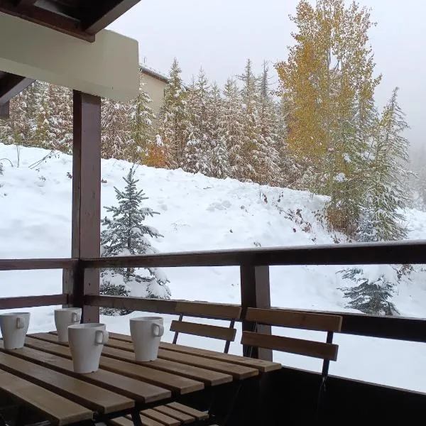 les chalets de puy st vincent，位于皮伊圣万桑的酒店