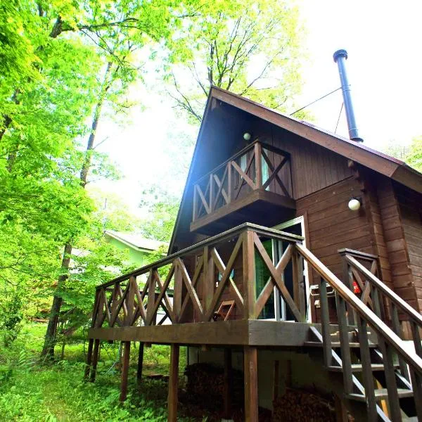 HARUNA LODGE Private log house with starry sky from the skylight, fireplace, and spacious deck BBQ，位于那须町的酒店