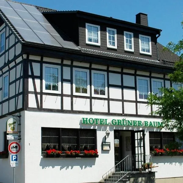 格鲁纳鲍姆酒店，位于Jahnsdorf的酒店
