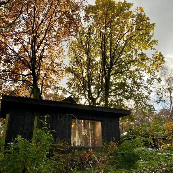 Kabana - eco forest suite，位于Wingene的酒店