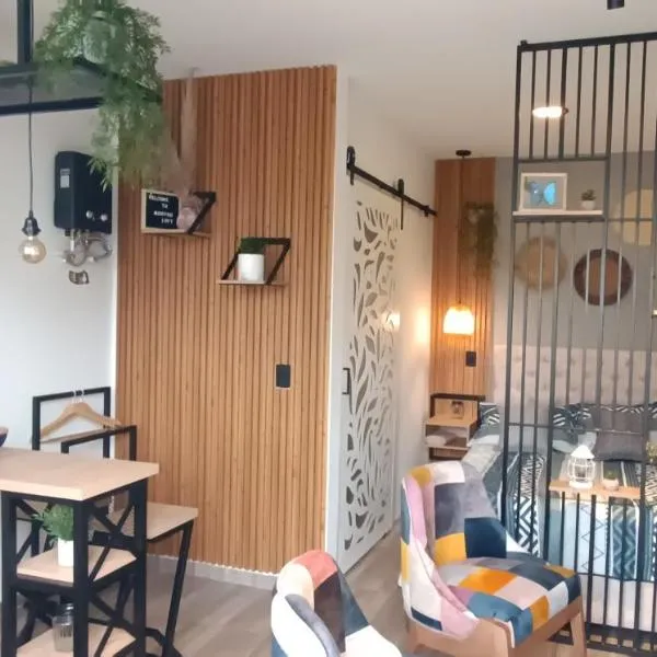 MINI LOFT MODERNO Y ACOGEDOR，位于萨兰托的酒店