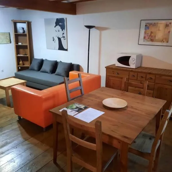 Apartamento centro Benasque，位于贝纳斯克的酒店