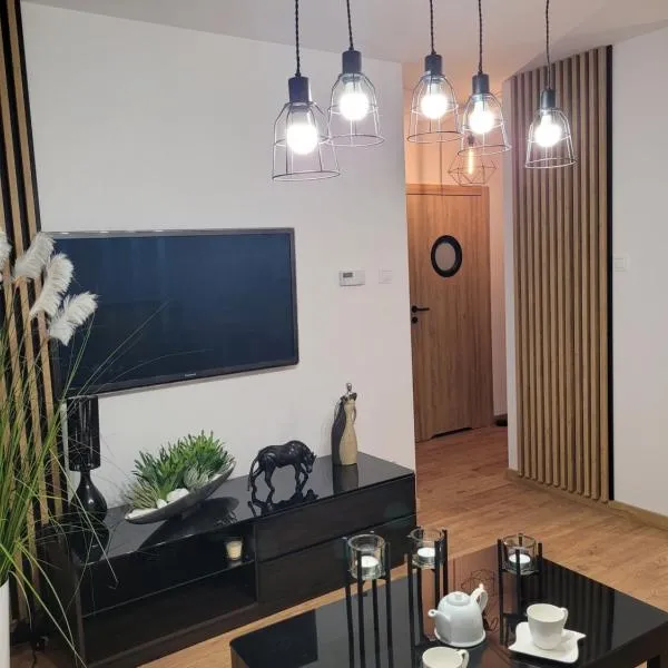 Apartament Złota Dziewiątka，位于翁格罗维茨的酒店