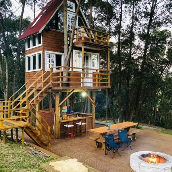 Casa na árvore perto da praia，位于São Martinho的酒店