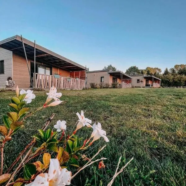 Auvergne chalets Sancy，位于Bagnols的酒店