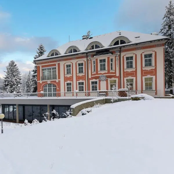 Wellness & Spa hotel Villa Regenhart，位于Supíkovice的酒店