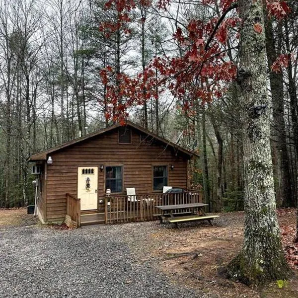 Private cozy cabin in the woods with great view，位于墨菲的酒店