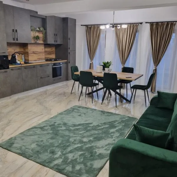 Apartament Mihai Cassas Residence，位于Fîntînele的酒店