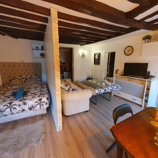 Le cosy entre Paris et Versailles avec parking gratuit à 5 min，位于沙维勒的酒店