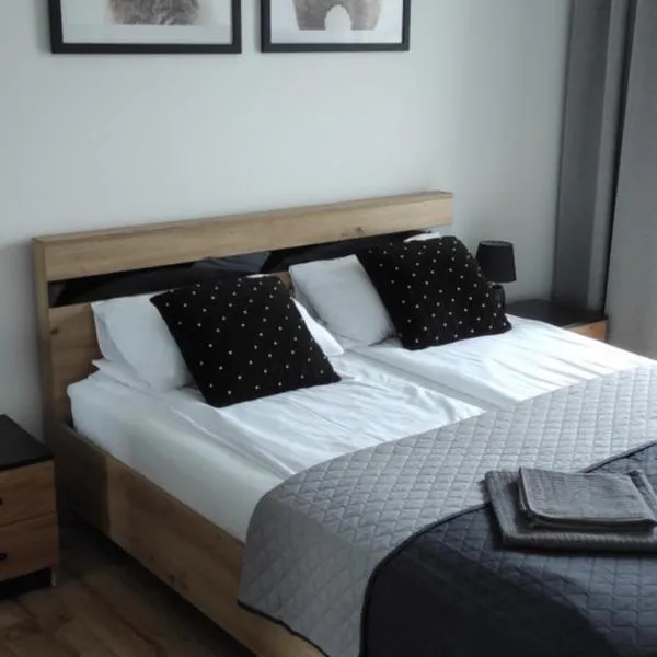 Apartamenty 77，位于琴斯托霍瓦的酒店