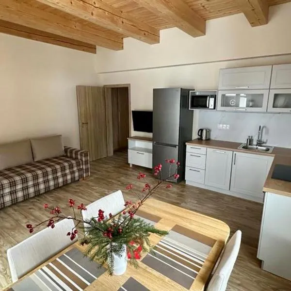 Apartmány LehotSKI Guest House，位于帕维西纳勒霍塔的酒店