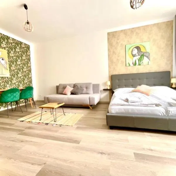 Apartmán 2 v bankovním domě，位于库特纳霍拉的酒店
