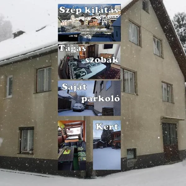 Steinadler apartman kertes ház csendes helyen saját parkolóval kutyabarát，位于穆劳的酒店