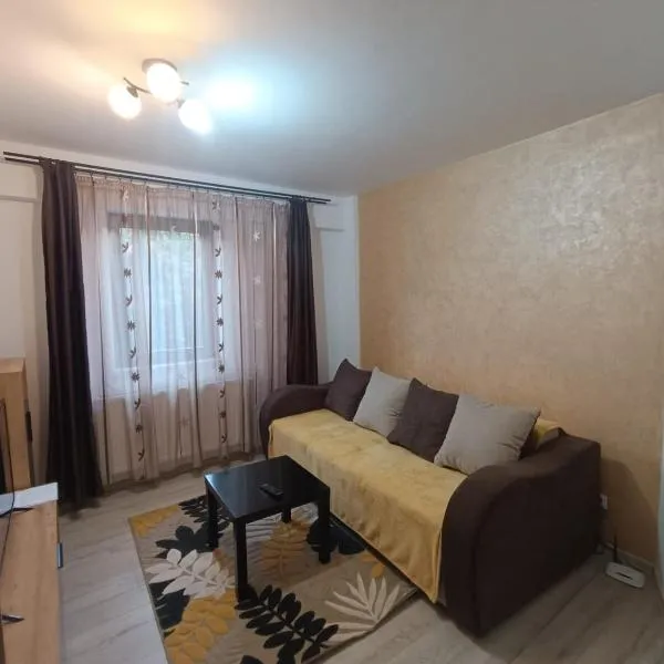 Daylight Apartments Sibiu，位于锡比乌的酒店