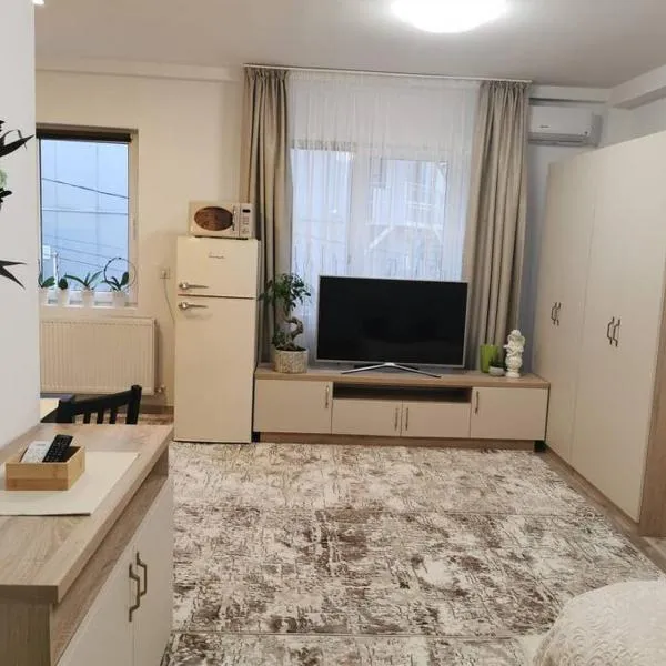 Studio Green Modern!，位于苏恰瓦的酒店