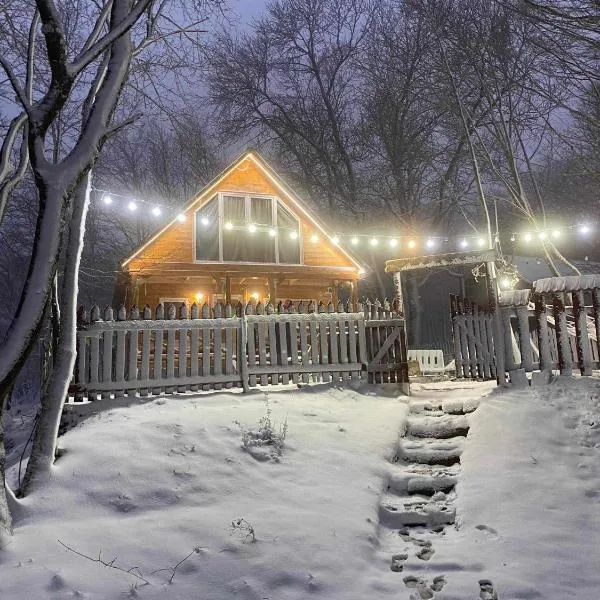 Wooden House Kopiti，位于第比利斯的酒店