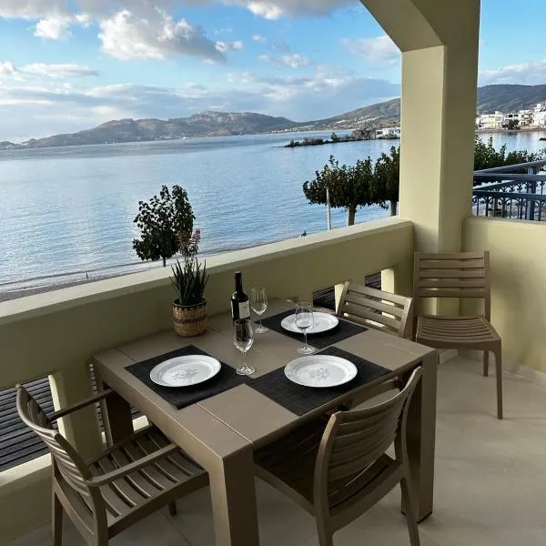 Samanthas LUXURY APARTMENT，位于哈拉奇的酒店