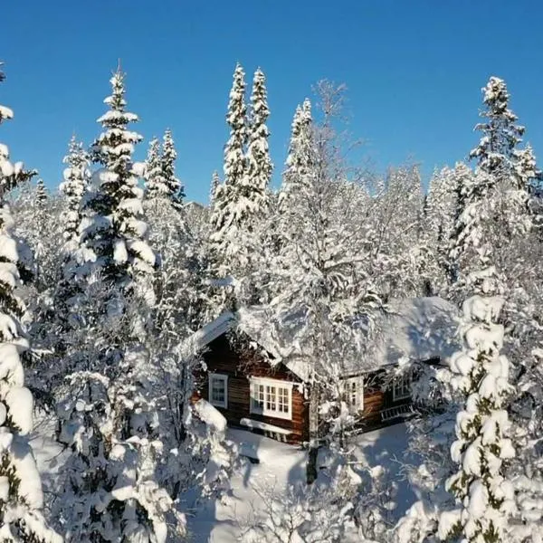 Messlingen, Sjövägen 5，位于菲奈斯达伦的酒店