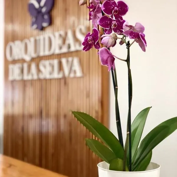 Orquídeas De La Selva，位于伊瓜苏港的酒店