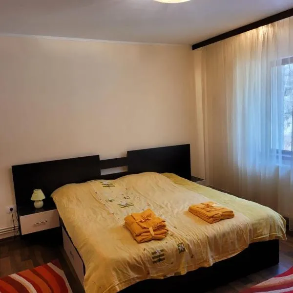 Apartament Red & Yellow，位于Poiana Sărată的酒店