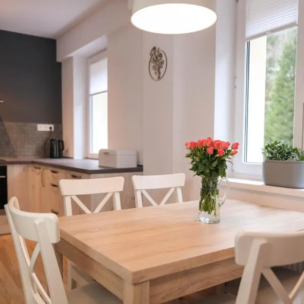 Apartment Schober - Rezidence K Lanovce，位于亚希莫夫的酒店