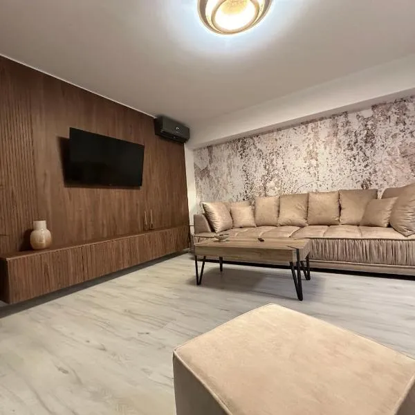 Luxury apartment , Private parking, Self Check-in64，位于Bădoşi的酒店