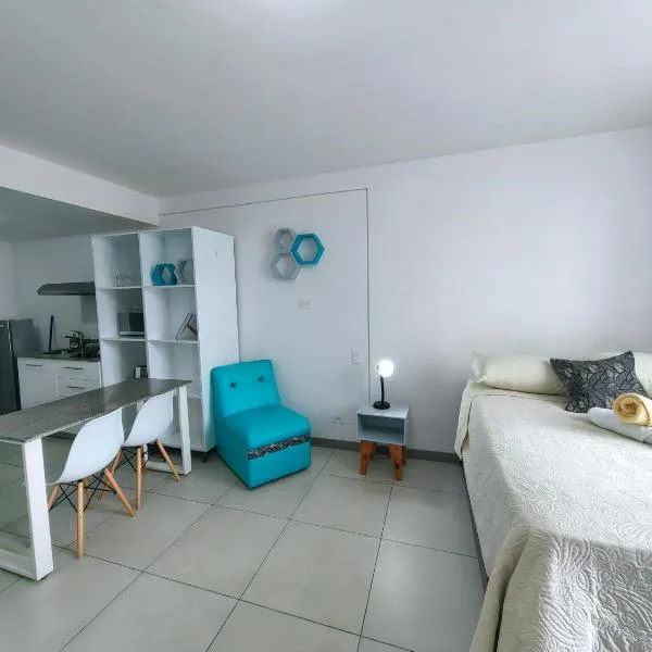 0201 iFreses Hermoso Apartamento para 4 personas SIN PARQUEO，位于Curridabat的酒店