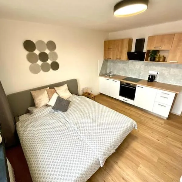 Apartmán č.4 v bankovním domě，位于库特纳霍拉的酒店