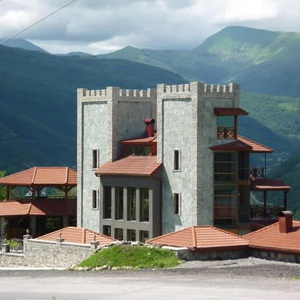 Hotel Ananuri，位于Tsitliani的酒店