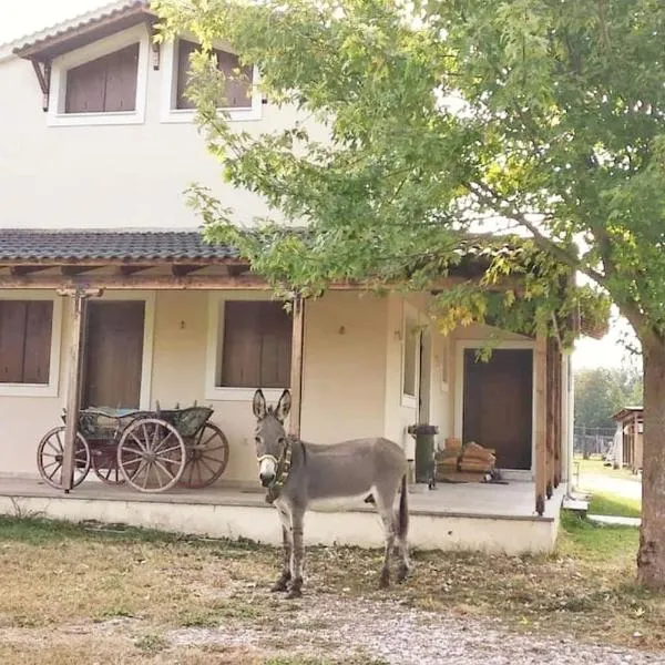 Το σπίτι στο αγρόκτημα，位于Magoulítsa的酒店