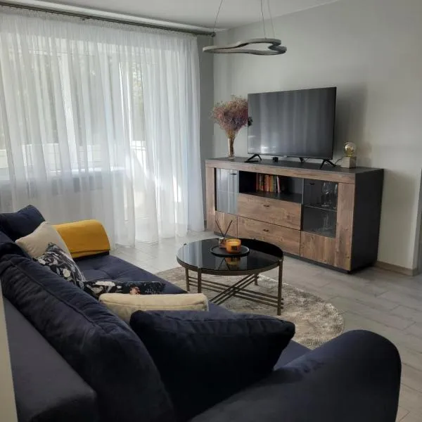 Maironio apartamentai，位于Radviliškis的酒店