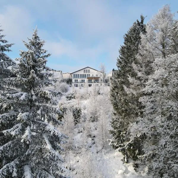 费瑞池特兰德酒店，位于Obersorpe的酒店