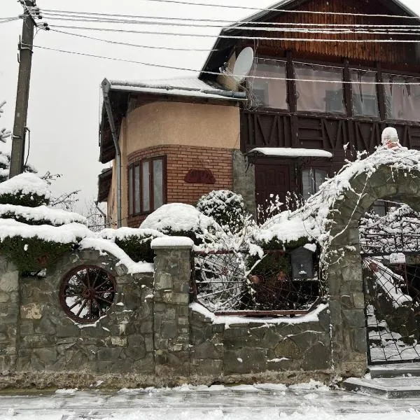 Затишок в Карпатах，位于斯科列的酒店