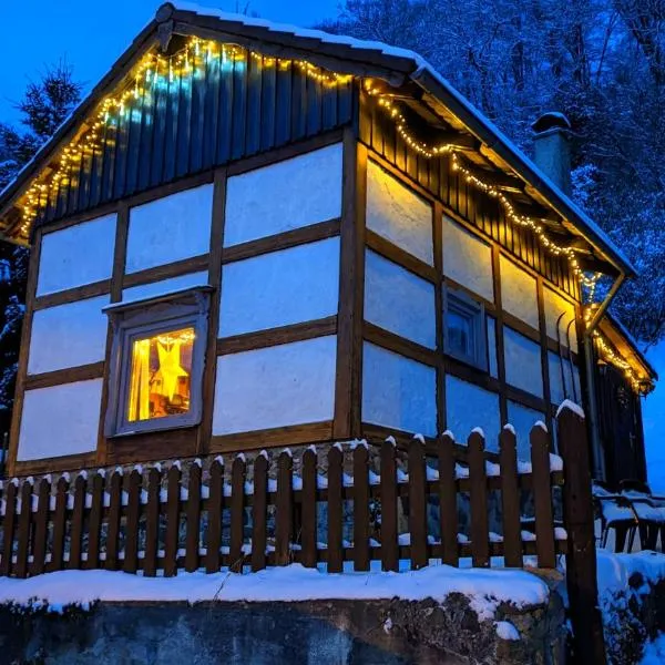 Arode Hütte Harzilein - Romantic tiny house on the edge of the forest，位于Zorge的酒店