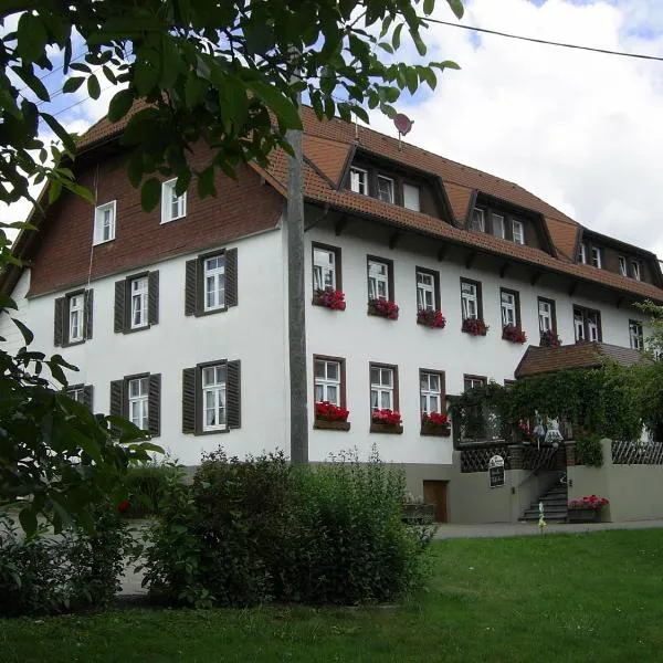 Gasthaus zum Schwanen，位于Gurtweil的酒店