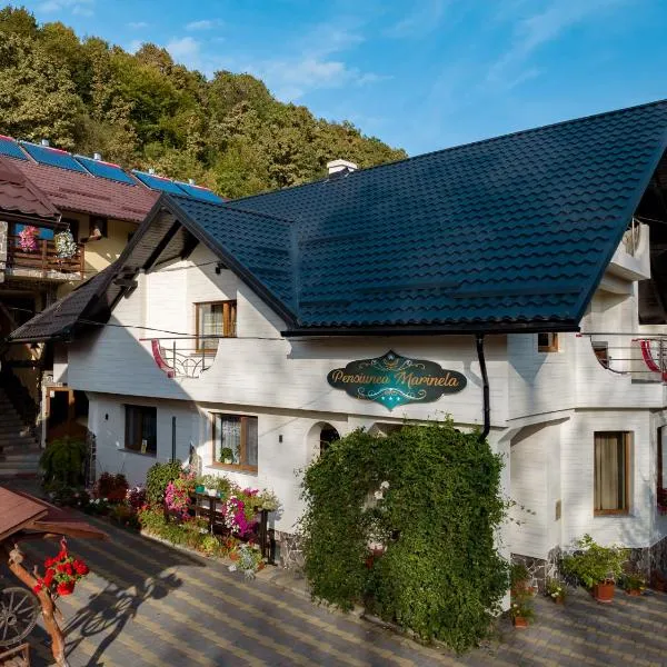 Pensiunea Marinela，位于Năneşti的酒店