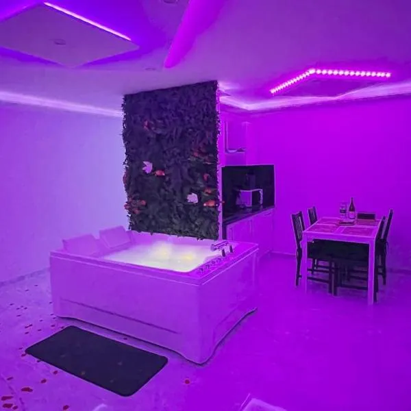 Golden seconds，位于斯特拉斯堡的酒店