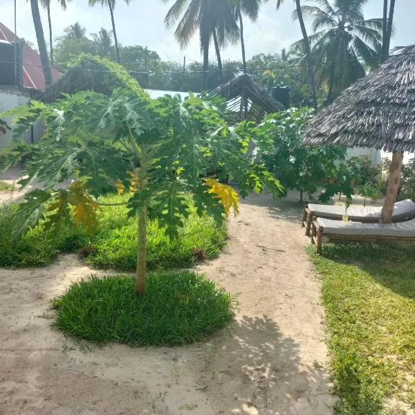 Mambo Leo Hostel，位于帕杰的酒店