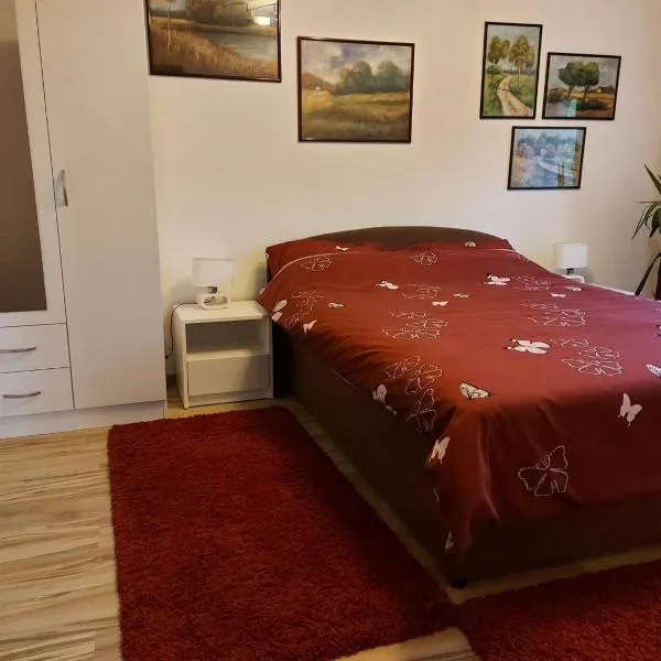 Apartment Skiptar，位于斯雷姆斯卡米特罗维察的酒店