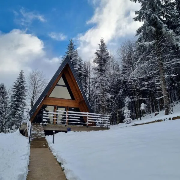 Gorska bajka - Borovica, planinska kuća za odmor i wellness，位于Moravice的酒店
