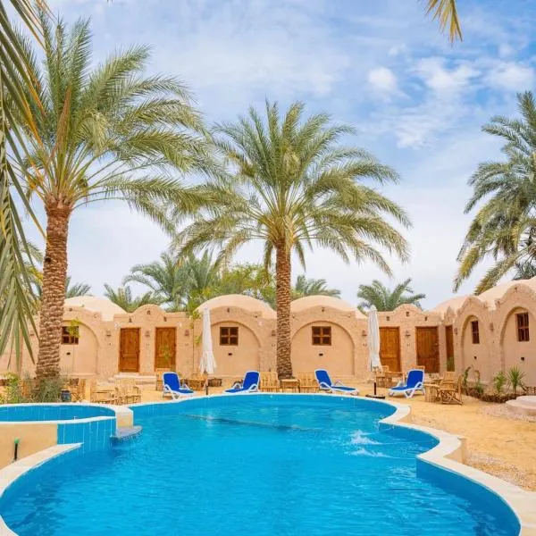 Siwa Palace Lodge，位于Al Manshīyah的酒店