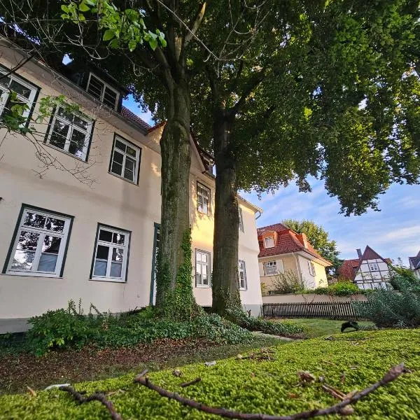 Patrizierhaus Altstadt am Brauhaus Zwiebel，位于索斯特的酒店