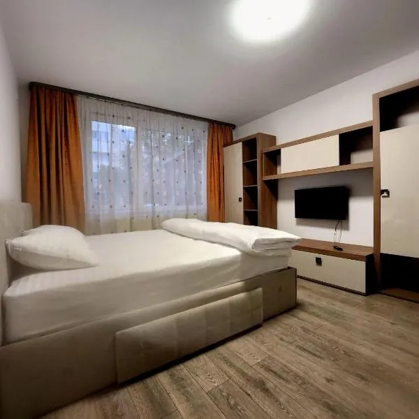 Apartament cu 1 camera ultracentral，位于巴亚马雷的酒店