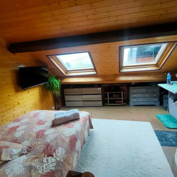Maison de ski et randonnée，位于Lez的酒店