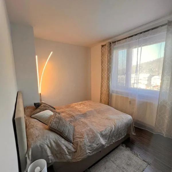 Stella Apartment，位于Lamač的酒店