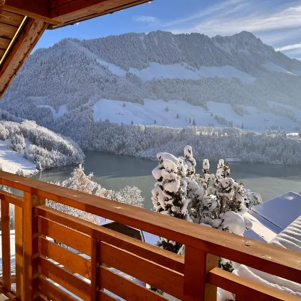 Chalet les Ecureuils Apartment Penthouse Suite，位于Neirivue的酒店