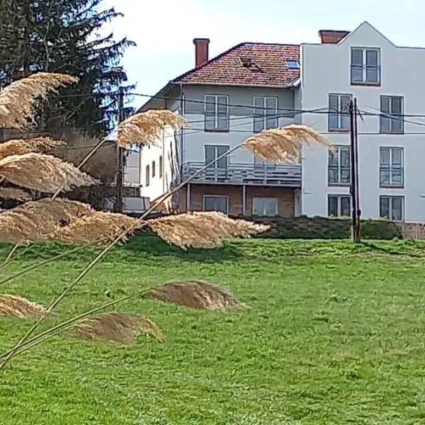 Onix-Vital Apartman Orfű，位于欧尔菲的酒店